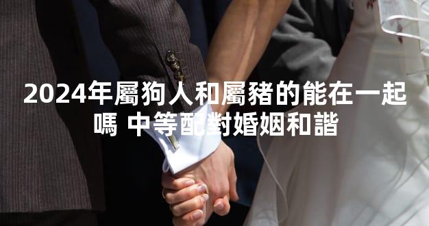 2024年屬狗人和屬豬的能在一起嗎 中等配對婚姻和諧